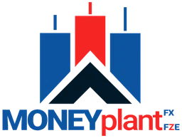 Our Company
